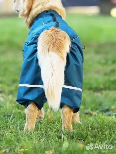 Комбинезон для собак дождевик самец 55М