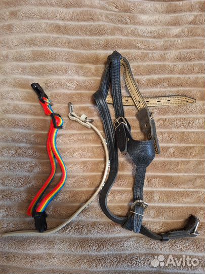 Амуниция для собак