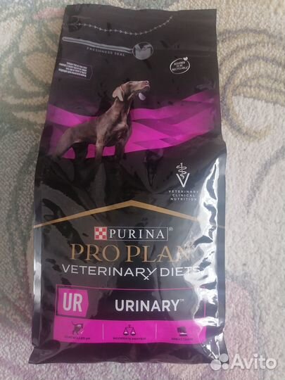 Лечебный корм для собак