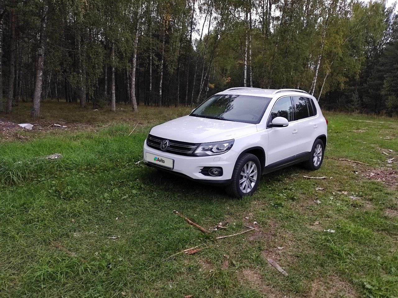 Volkswagen Tiguan: фото владельца