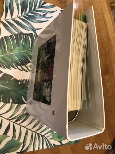 Цветы дома. Шаг за шагом” коллекция карточек