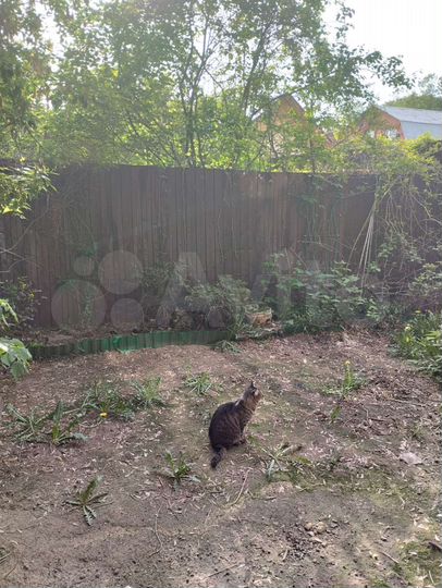 Дом 190 м² на участке 1,6 сот.