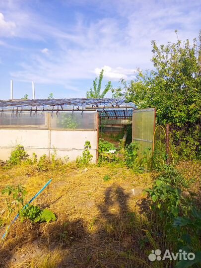 Промышленная теплица