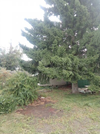 Дача 25 м² на участке 8 сот.