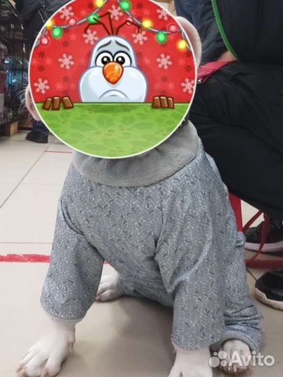 Комбинезон теплый