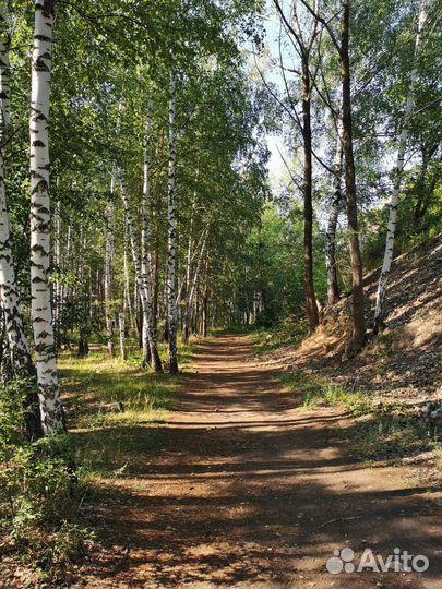 Прогулки Слушатель Собеседник Друг на час