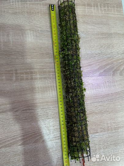 Тотем для растений из мха