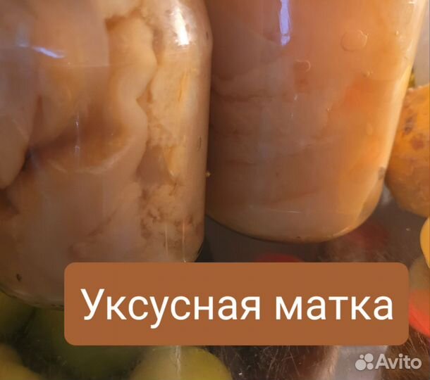 Домашний яблочный уксус