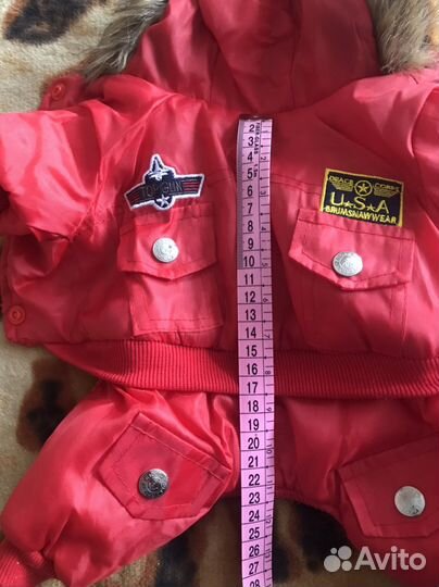 Одежда для собак