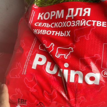 Корма для животных оптом
