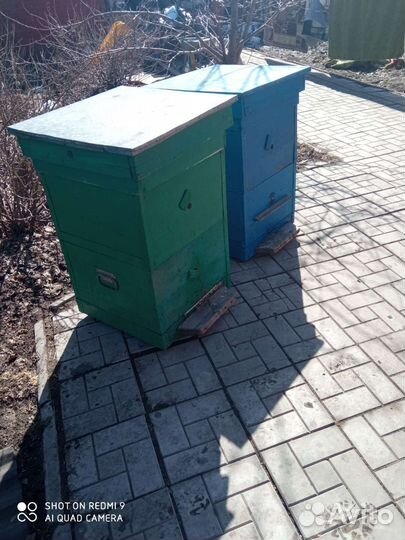 Продам ульи для пчел