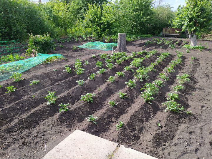 Дача 12 м² на участке 6 сот.