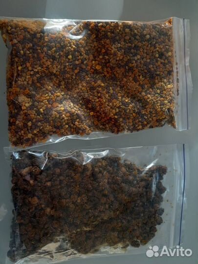 Мед от пасечника