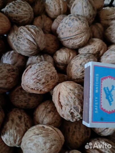 Грецкий орех