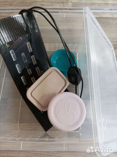 Набор для эублефара