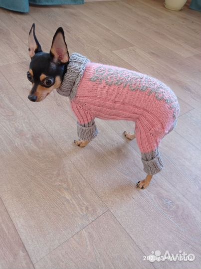 Одежда для маленьких собак