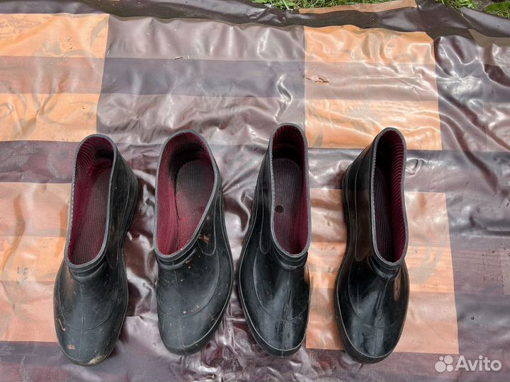 Садовые голошы