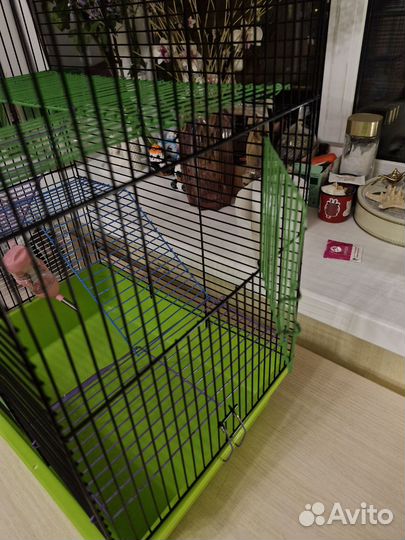 Клетка для грызунов большая бу