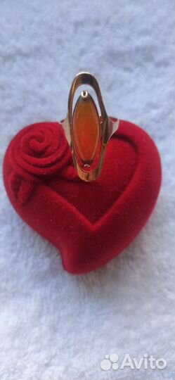 Золотое кольцо орбита