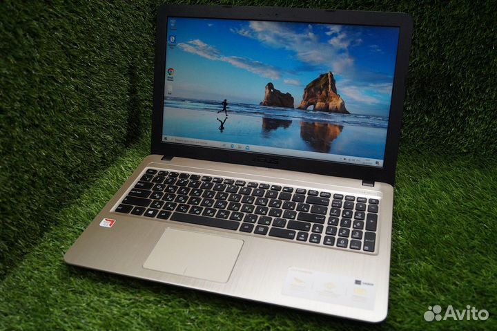 Как новый asus для учебы, работы и интернета