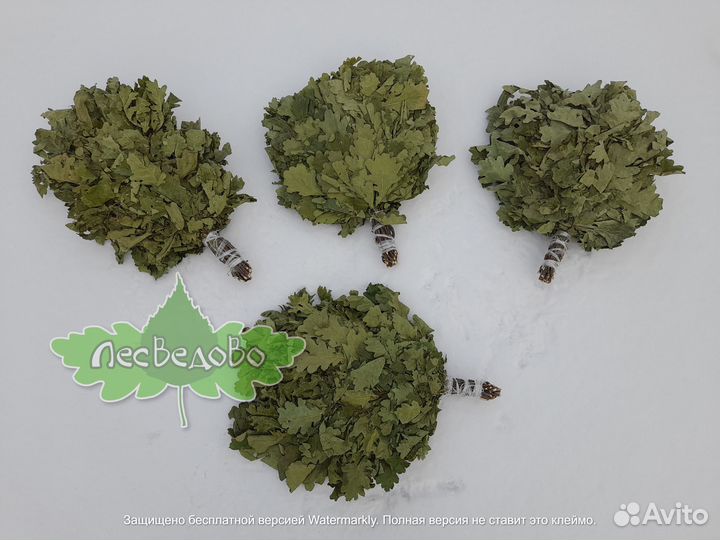 Дубовые веники опт предложение для бань саун