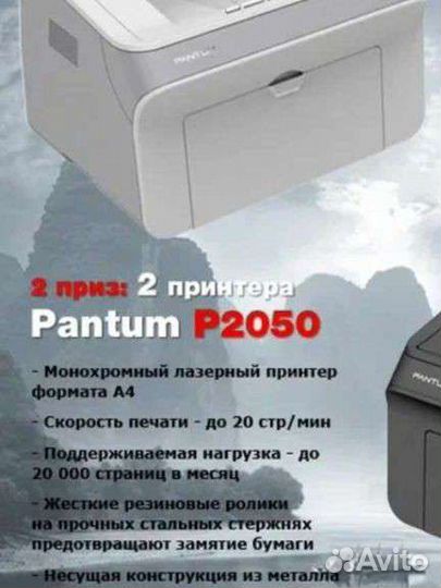 Принтер лазерный pantum p 2050