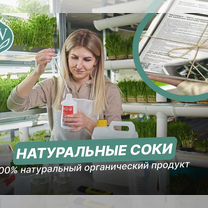 Франшиза полезных соков — бизнес с заботой о здоровье, Темиртау (Карагандинская область)