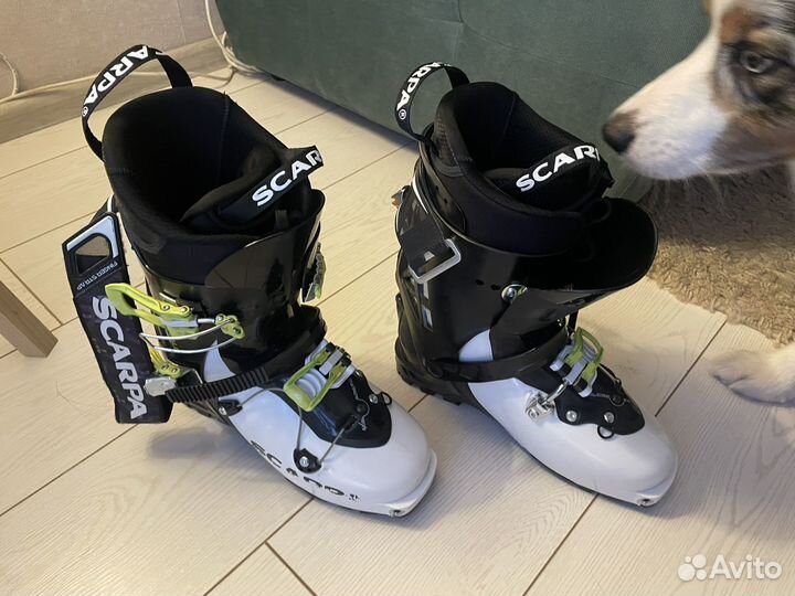 Горнолыжные ботинки Scarpa