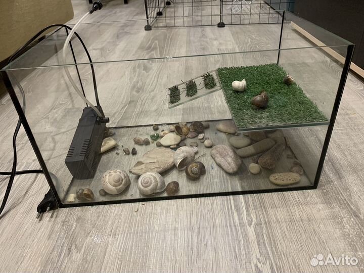 Террариум для черепахи