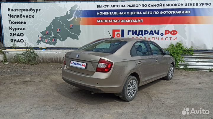 Заглушка двери задней левой Skoda Rapid 5JA839915