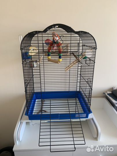 Клетка для попугая, переноска, купалка