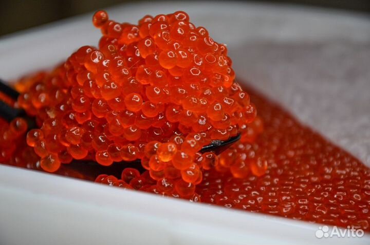 Икра Кеты Горбуши Чавычи Нерки Камчатка 2023г