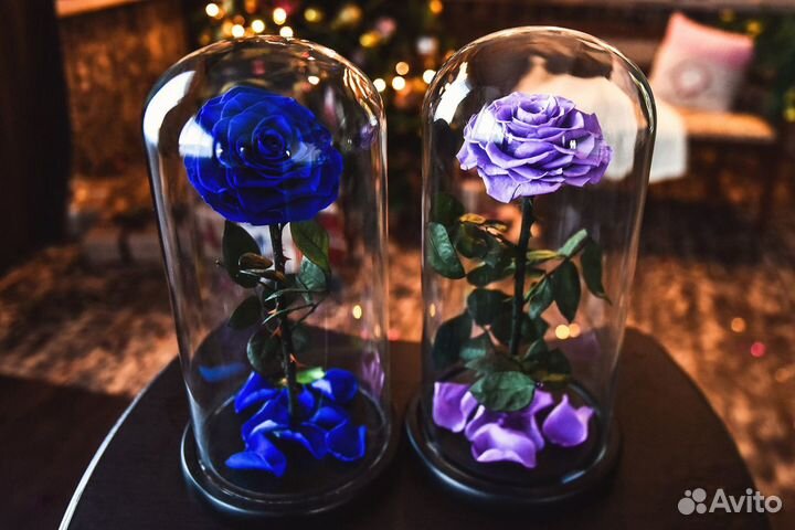 Роза в колбе