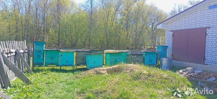 Ульи для пчел бу