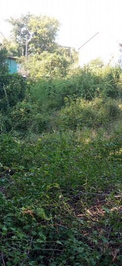 Участок 10 сот. (СНТ, ДНП)