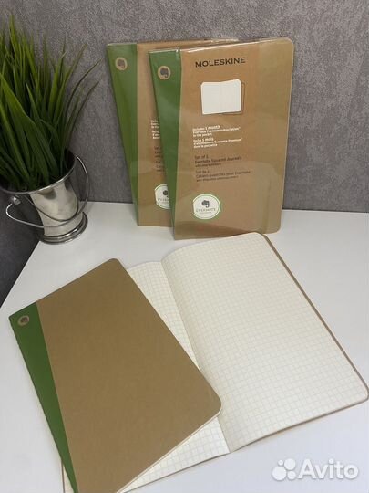 Блокнот Moleskine volant/Evernote set of 2