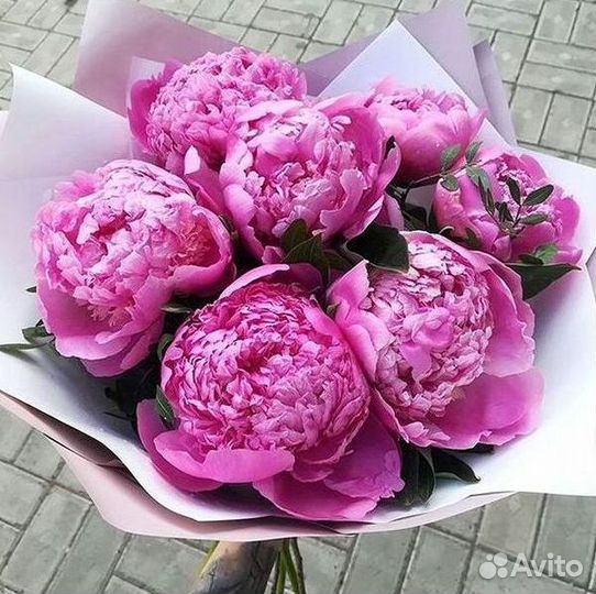 Пионы Розы Доставка