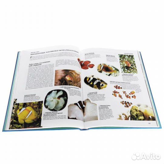 Энциклопедия Аквариум. Рыбы, растения, оборудовани