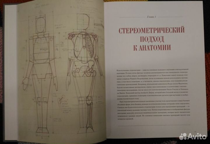 Анатомия для художников. Роберто Ости Эндрю Лумис