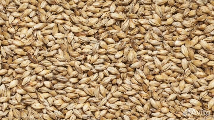 Солод Венский castle malting