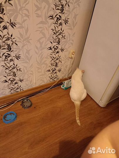 Ищем потерялся