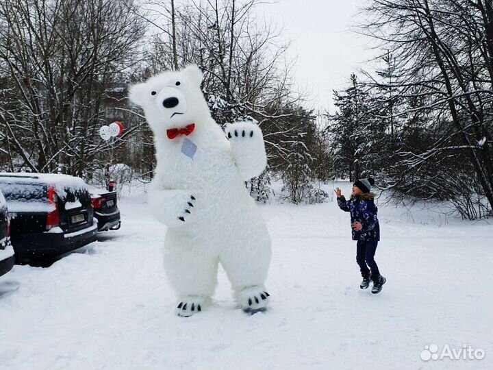 Мишка умка и Мишка Тедди