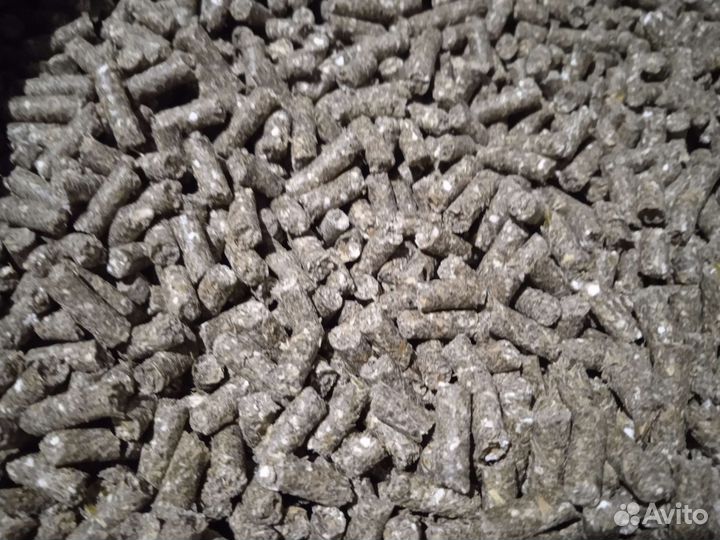 Корм для кур несушка