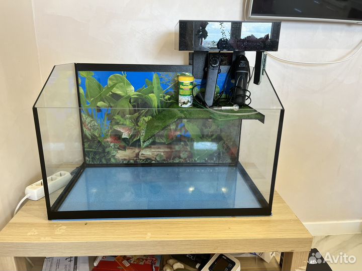 Аквариум черепашник