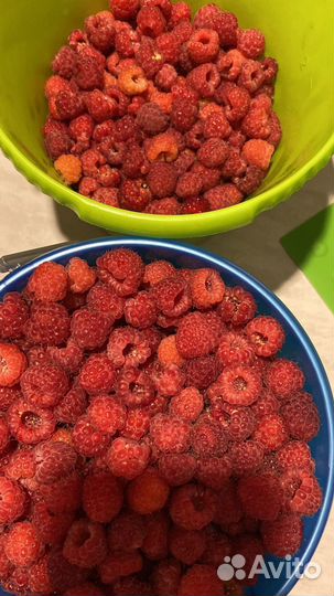 Продам малину