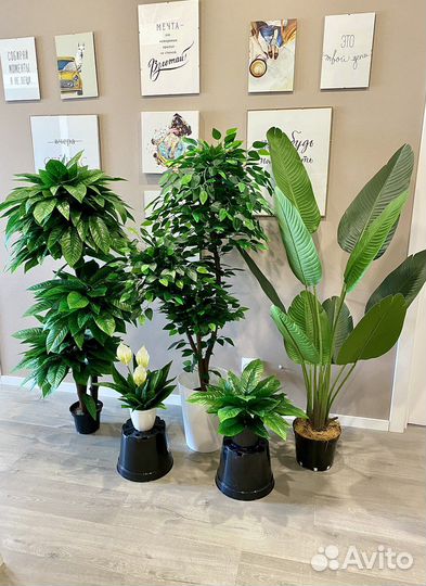 Искусственные растения