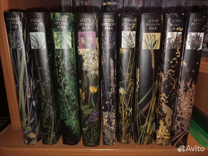 Серия книг «Поэты Русского Рока»