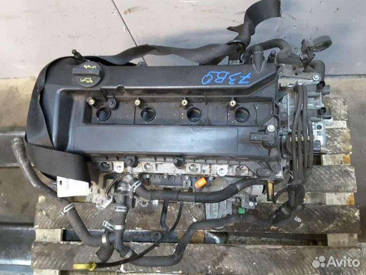 Контрактный двигатель aoda Ford Focus 2