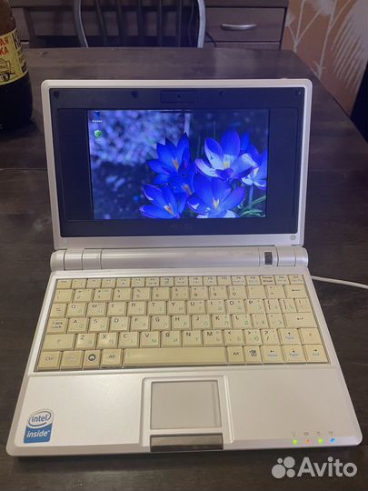Asus eee pc