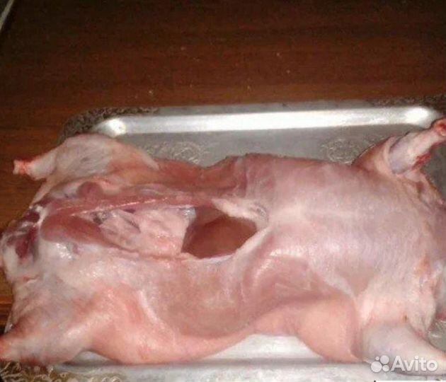 Мясо нутрии